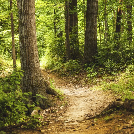 Path to finding your authentic self